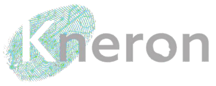 Kneron Logo